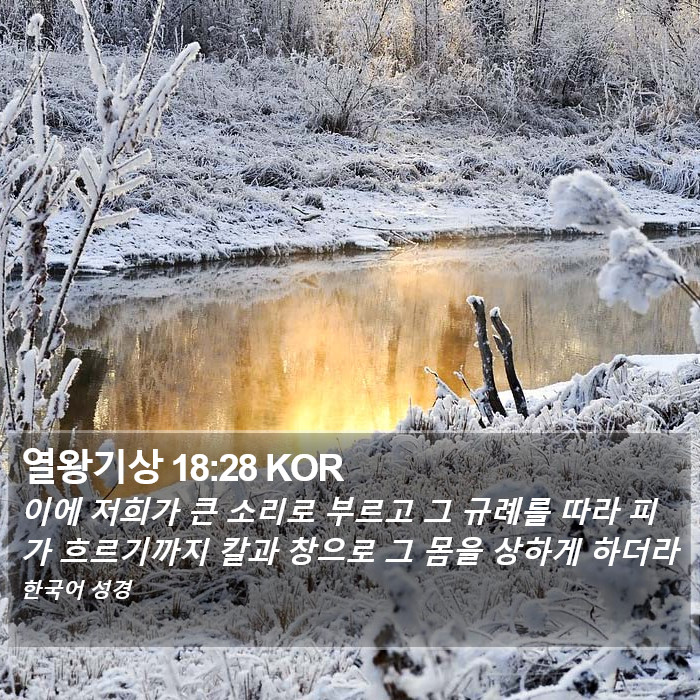 열왕기상 18:28 KOR Bible Study