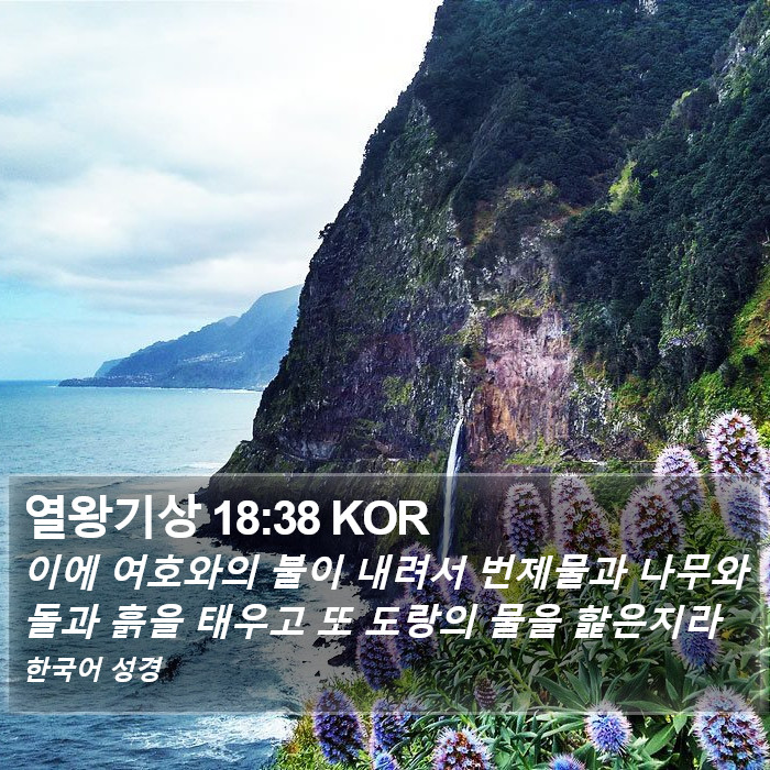 열왕기상 18:38 KOR Bible Study