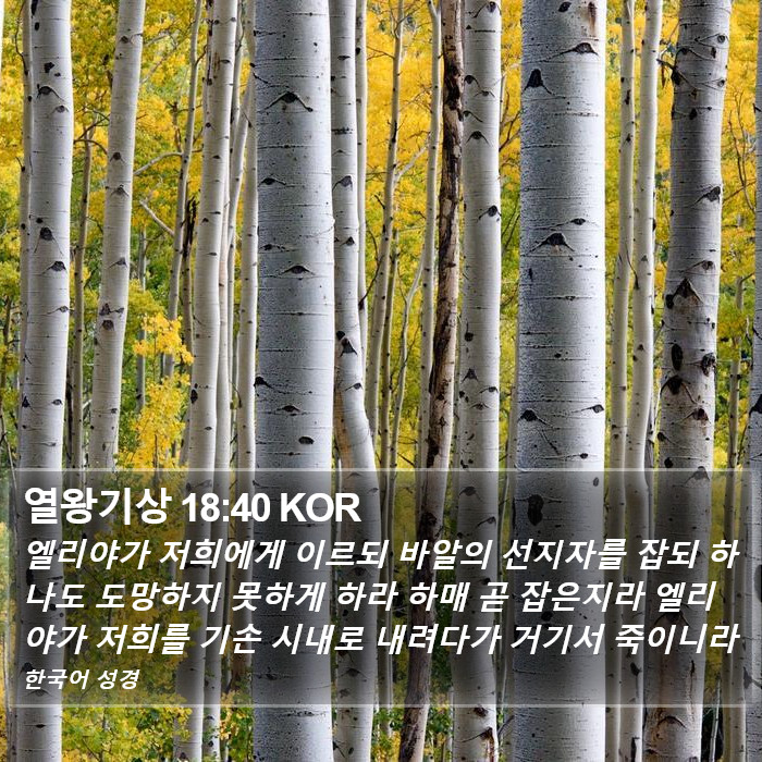 열왕기상 18:40 KOR Bible Study