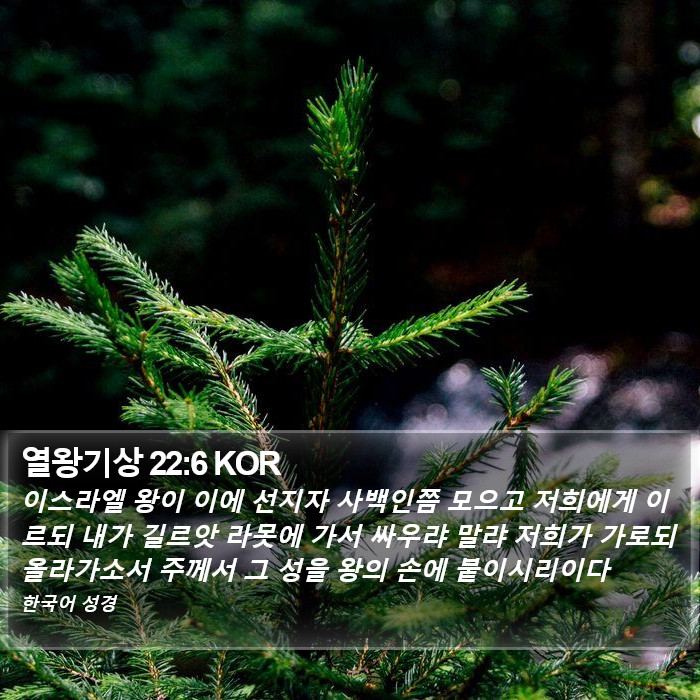 열왕기상 22:6 KOR Bible Study