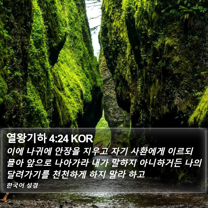 열왕기하 4:24 KOR Bible Study