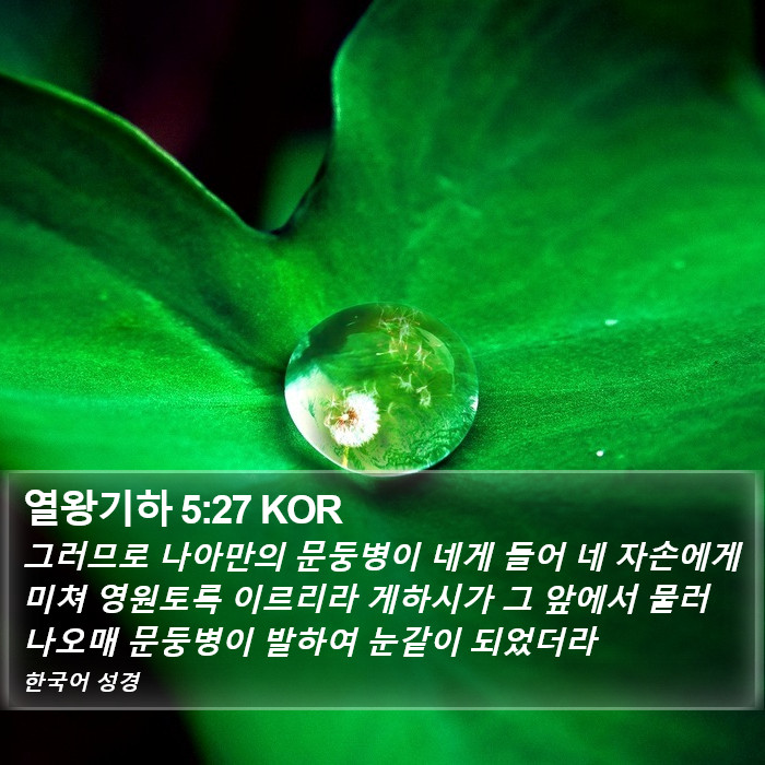 열왕기하 5:27 KOR Bible Study