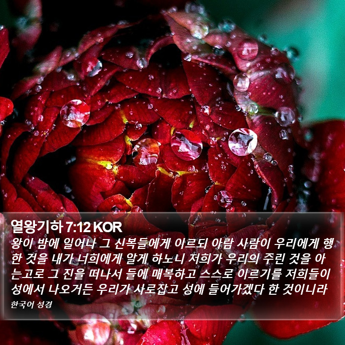 열왕기하 7:12 KOR Bible Study