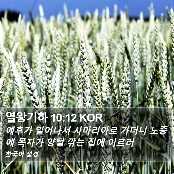 열왕기하 10:12 KOR Bible Study