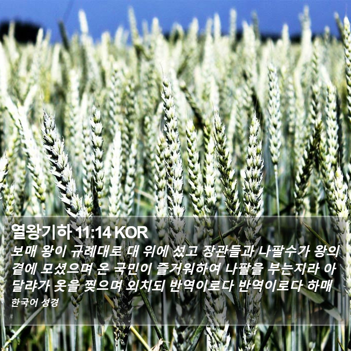 열왕기하 11:14 KOR Bible Study