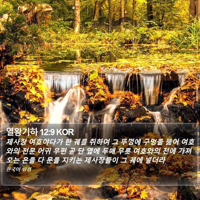 열왕기하 12:9 KOR Bible Study