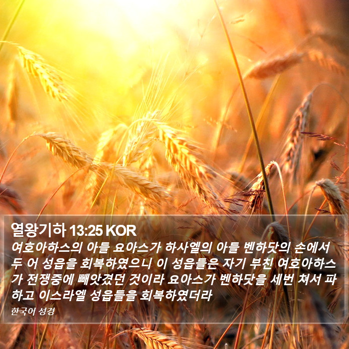 열왕기하 13:25 KOR Bible Study