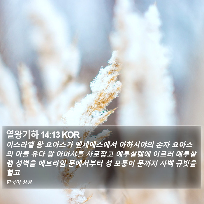 열왕기하 14:13 KOR Bible Study