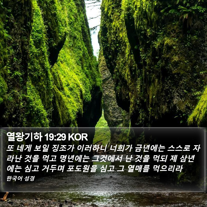 열왕기하 19:29 KOR Bible Study