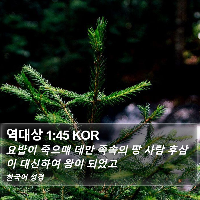 역대상 1:45 KOR Bible Study