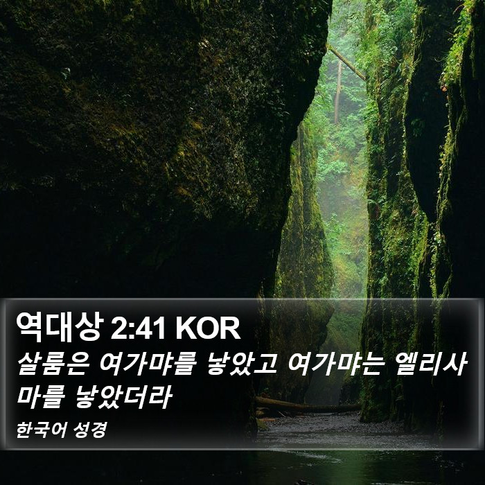 역대상 2:41 KOR Bible Study