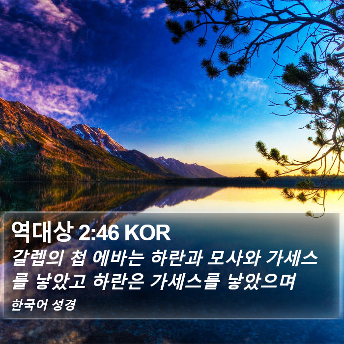 역대상 2:46 KOR Bible Study