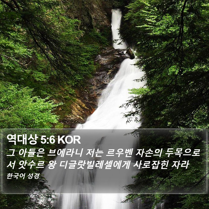 역대상 5:6 KOR Bible Study
