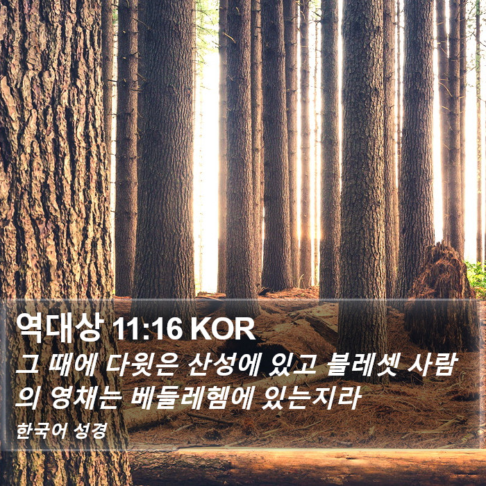 역대상 11:16 KOR Bible Study