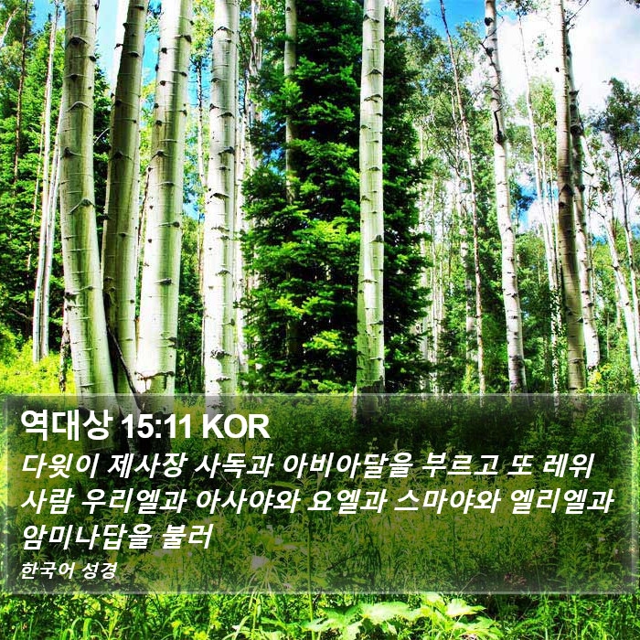 역대상 15:11 KOR Bible Study