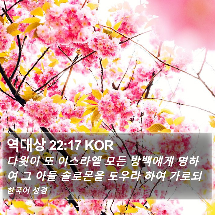 역대상 22:17 KOR Bible Study