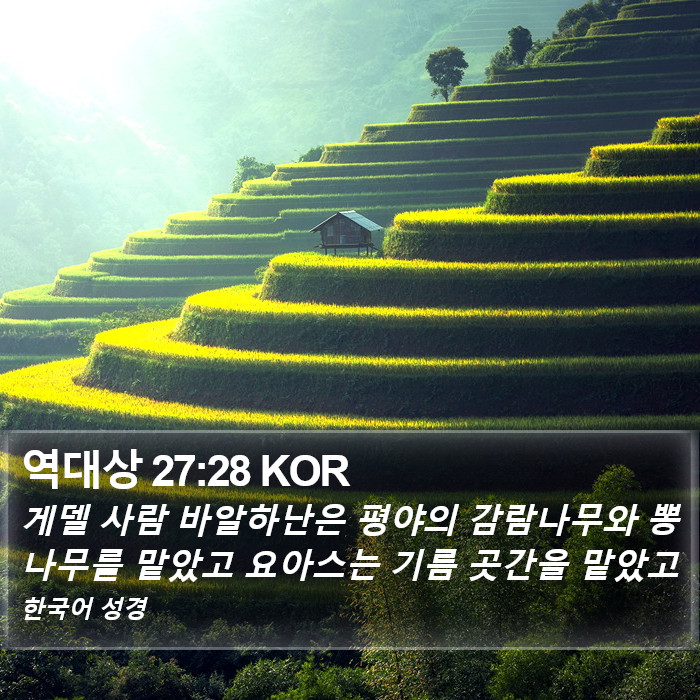 역대상 27:28 KOR Bible Study