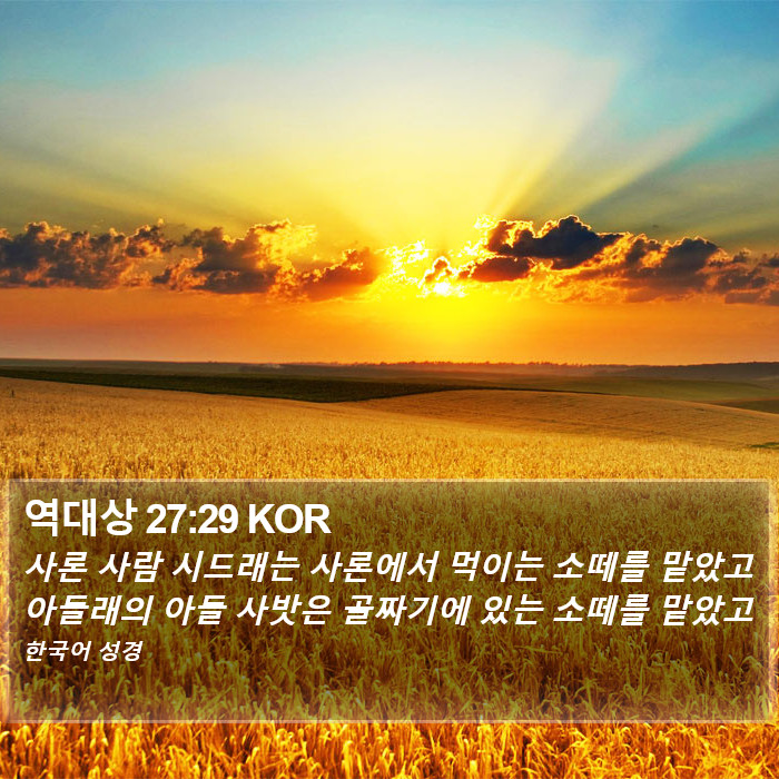 역대상 27:29 KOR Bible Study