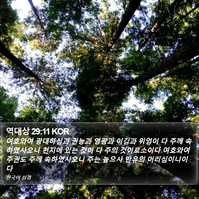 역대상 29:11 KOR Bible Study