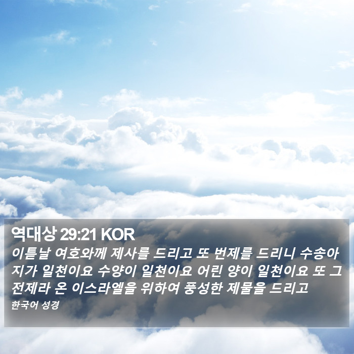 역대상 29:21 KOR Bible Study