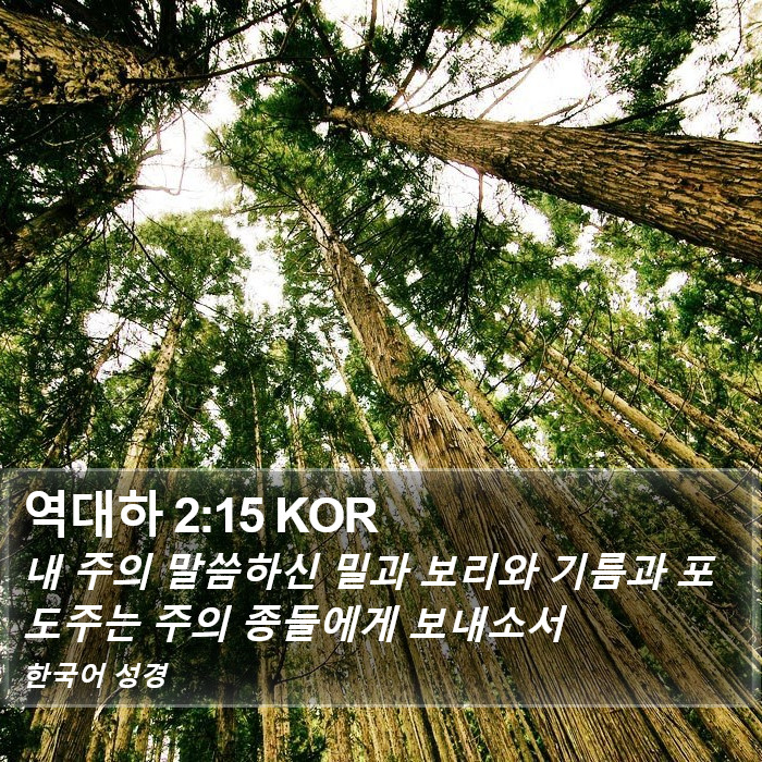 역대하 2:15 KOR Bible Study