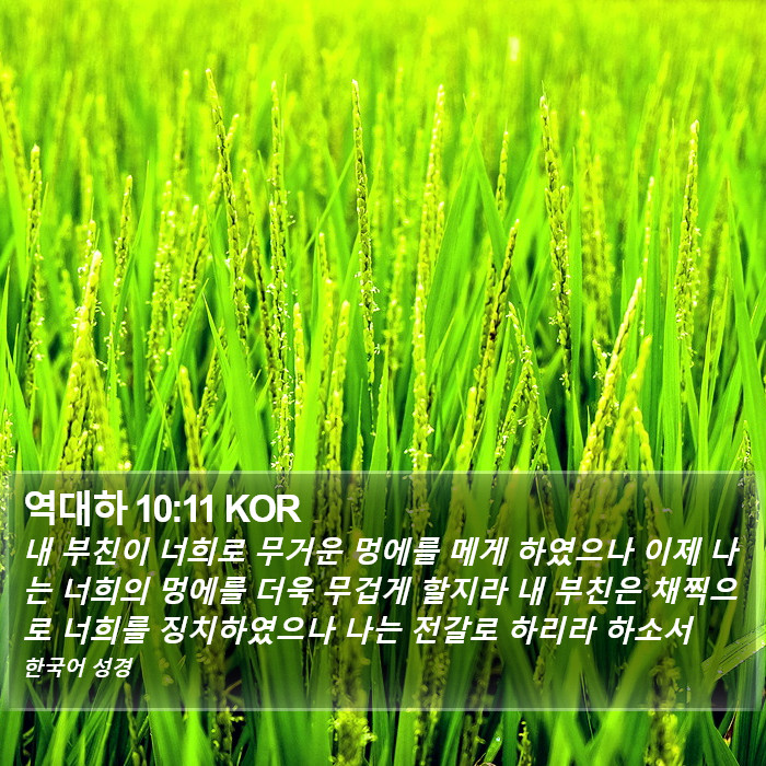 역대하 10:11 KOR Bible Study