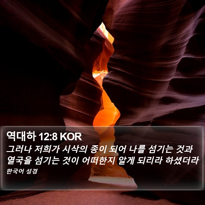 역대하 12:8 KOR Bible Study