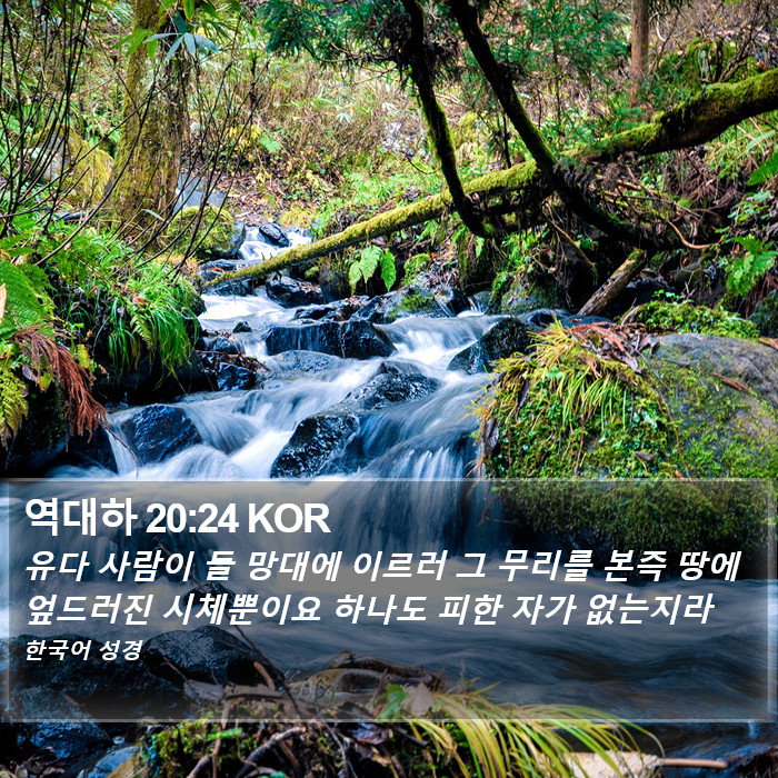 역대하 20:24 KOR Bible Study