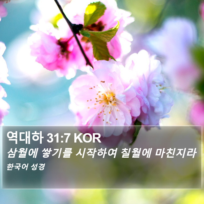 역대하 31:7 KOR Bible Study