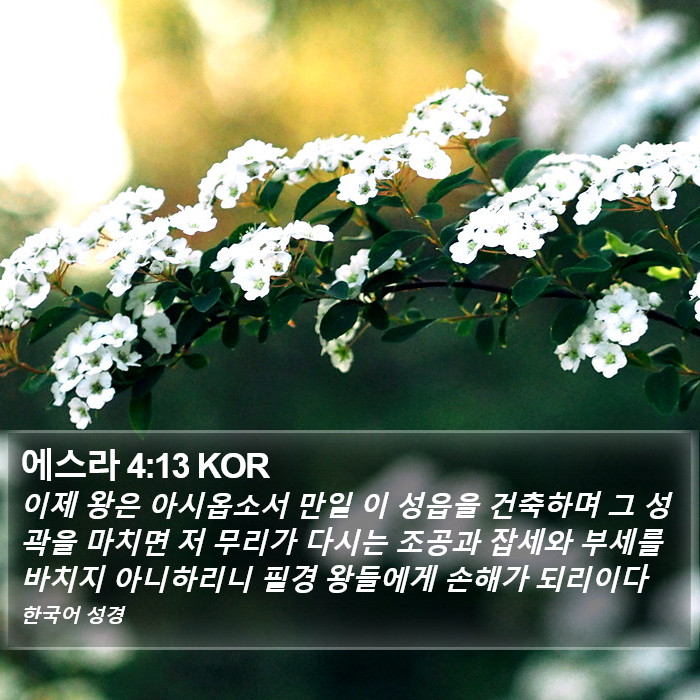 에스라 4:13 KOR Bible Study