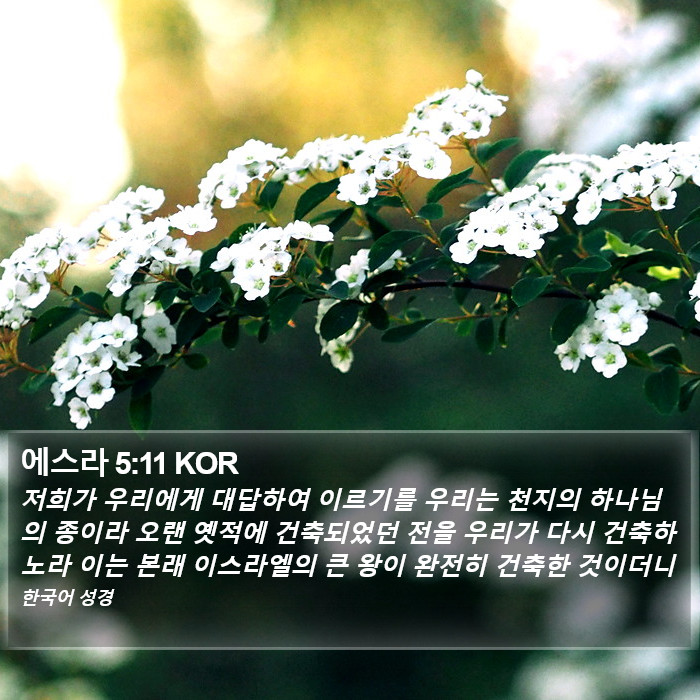 에스라 5:11 KOR Bible Study