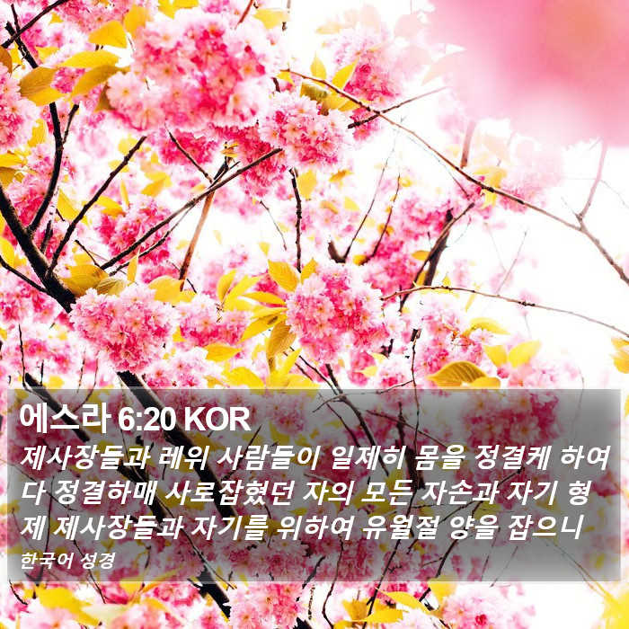 에스라 6:20 KOR Bible Study