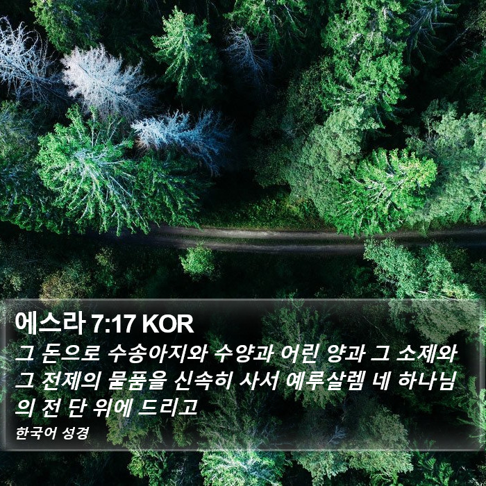 에스라 7:17 KOR Bible Study