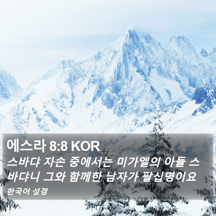 에스라 8:8 KOR Bible Study