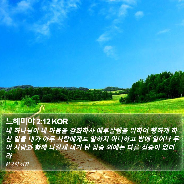 느헤미야 2:12 KOR Bible Study