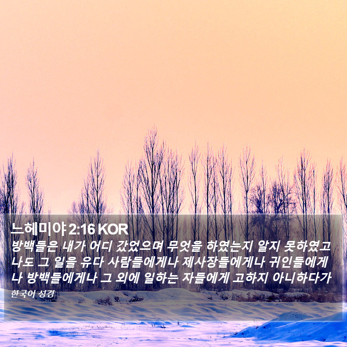 느헤미야 2:16 KOR Bible Study