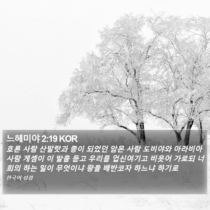 느헤미야 2:19 KOR Bible Study