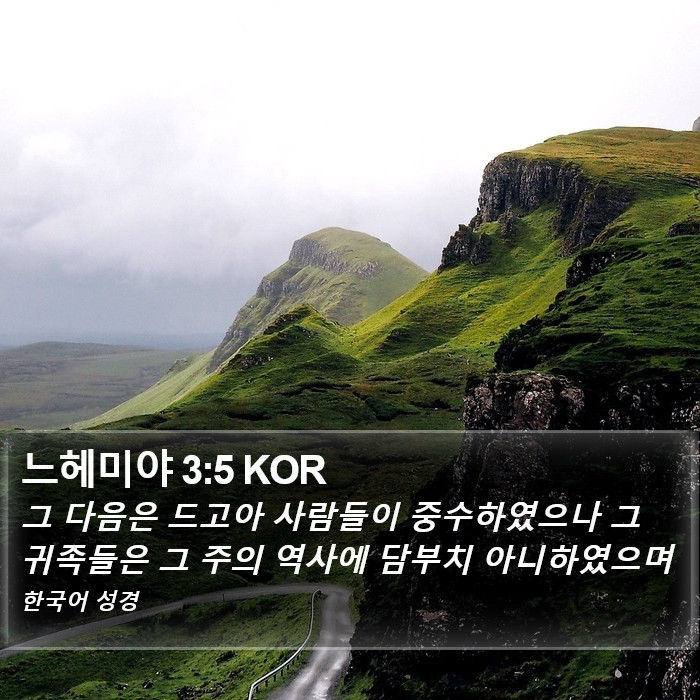 느헤미야 3:5 KOR Bible Study