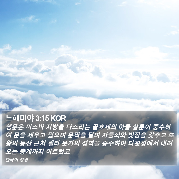 느헤미야 3:15 KOR Bible Study