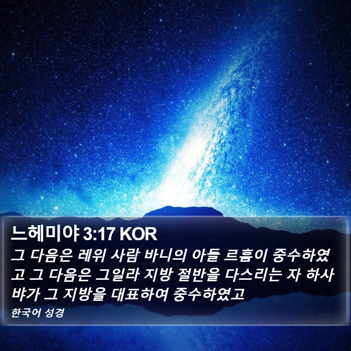 느헤미야 3:17 KOR Bible Study