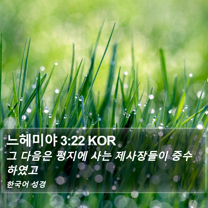 느헤미야 3:22 KOR Bible Study