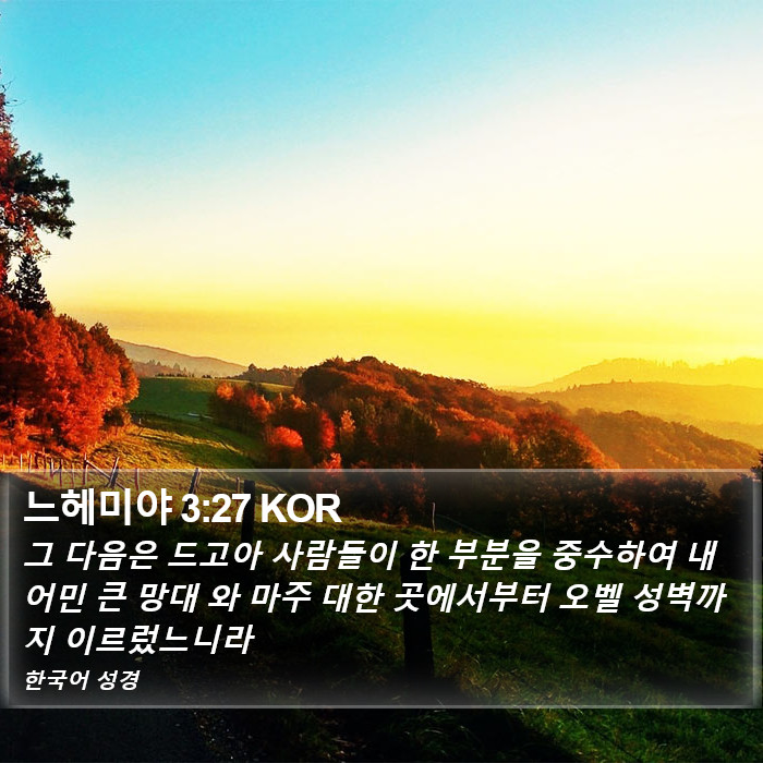 느헤미야 3:27 KOR Bible Study