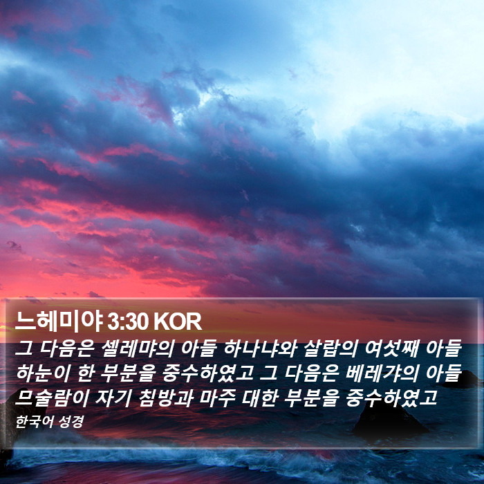 느헤미야 3:30 KOR Bible Study