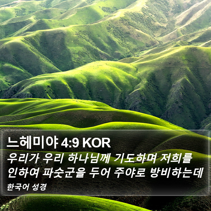 느헤미야 4:9 KOR Bible Study