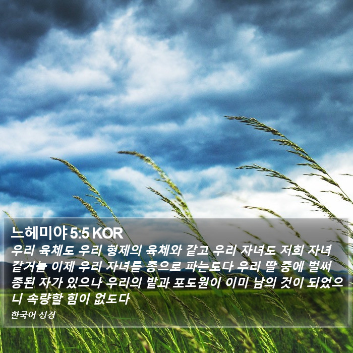 느헤미야 5:5 KOR Bible Study