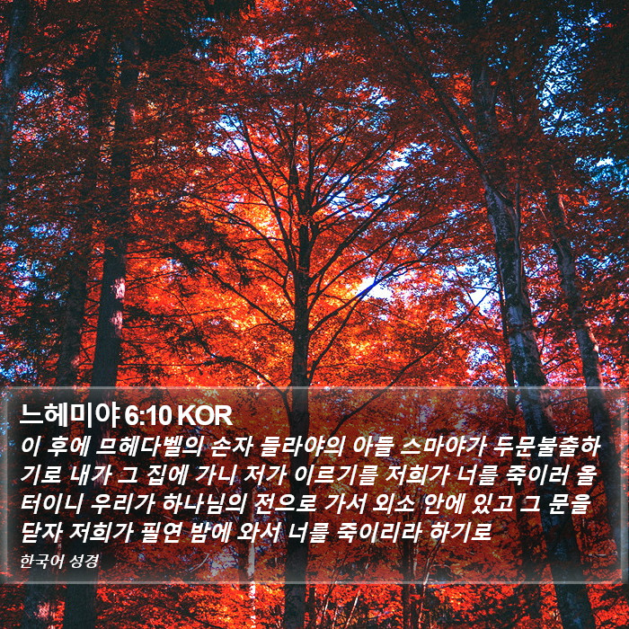 느헤미야 6:10 KOR Bible Study