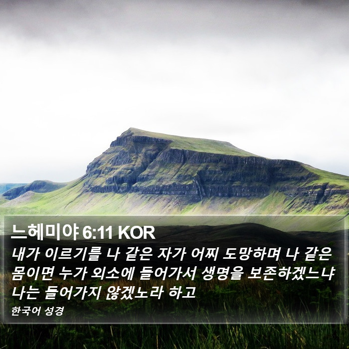 느헤미야 6:11 KOR Bible Study