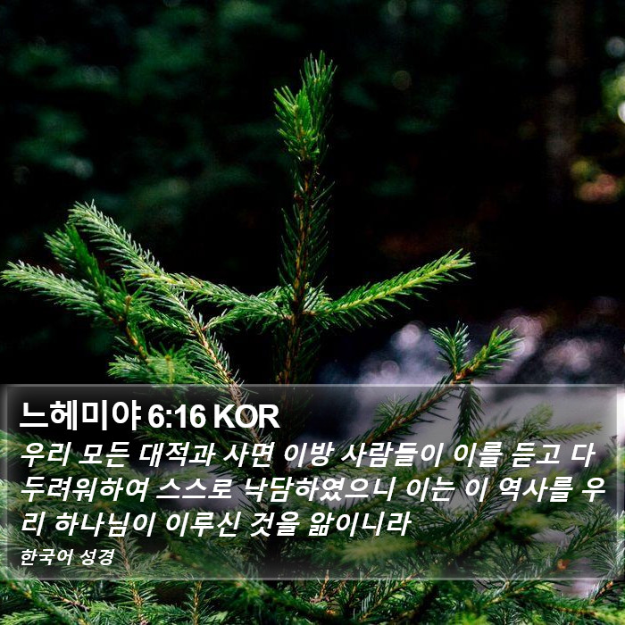 느헤미야 6:16 KOR Bible Study