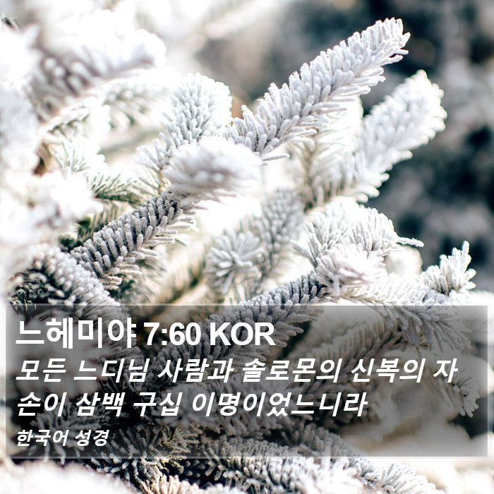 느헤미야 7:60 KOR Bible Study