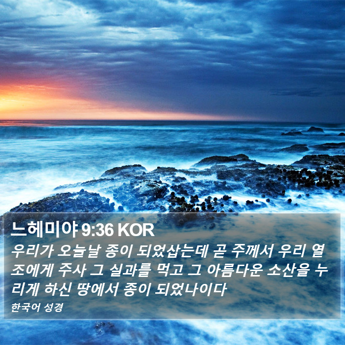 느헤미야 9:36 KOR Bible Study